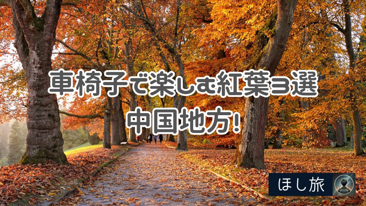 車椅子で楽しむ紅葉3選in中国地方!バリアフリー観光地