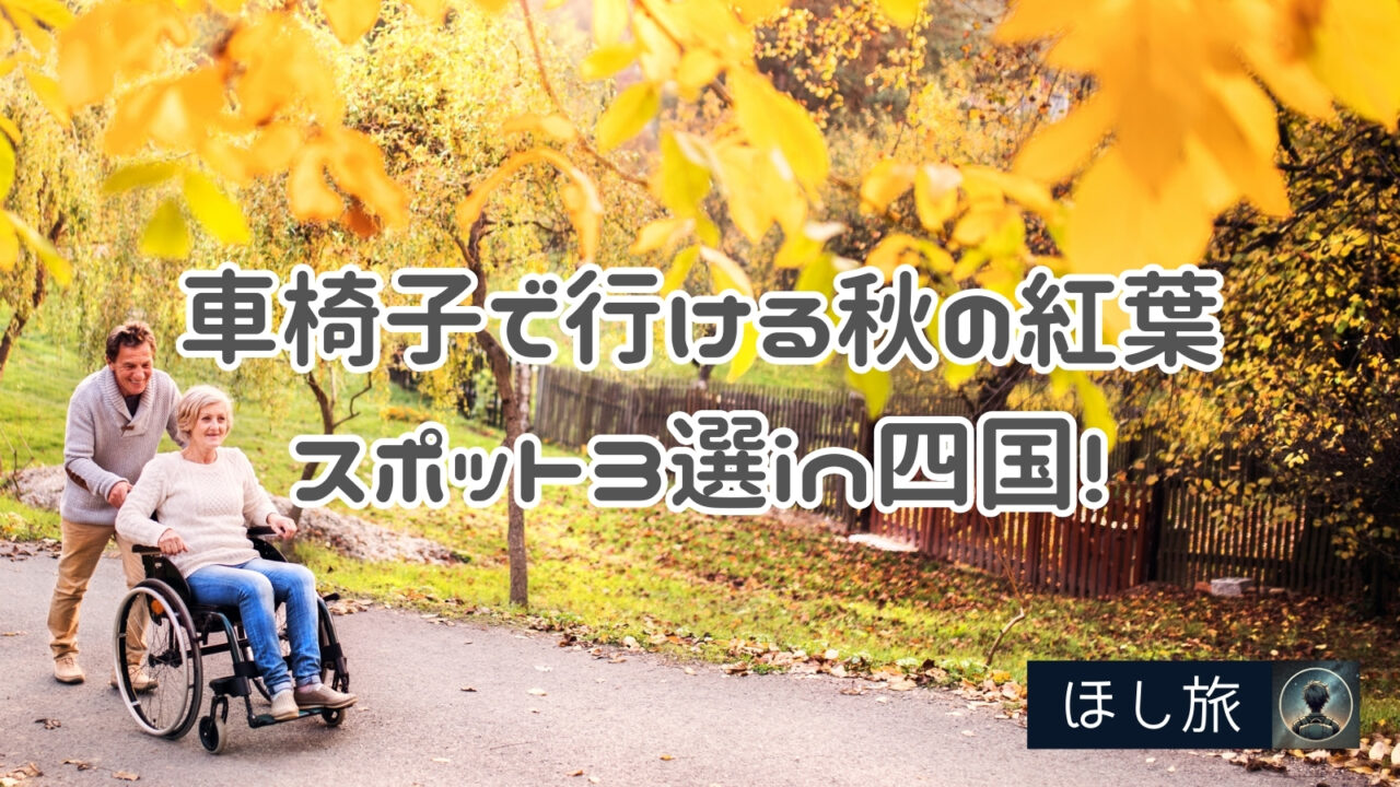 車椅子で行ける秋の紅葉スポット3選in四国!おすすめ観光地もご紹介