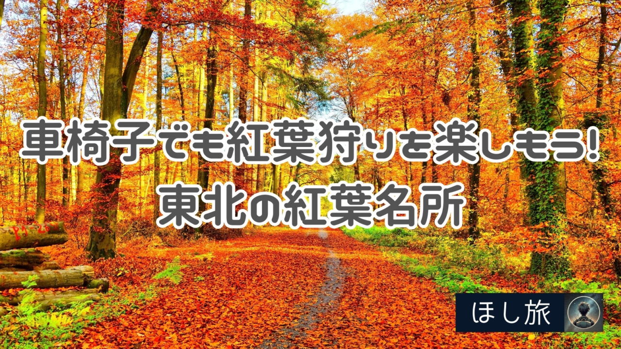 車椅子でも紅葉狩りを楽しもう！東北の紅葉名所おすすめスポット