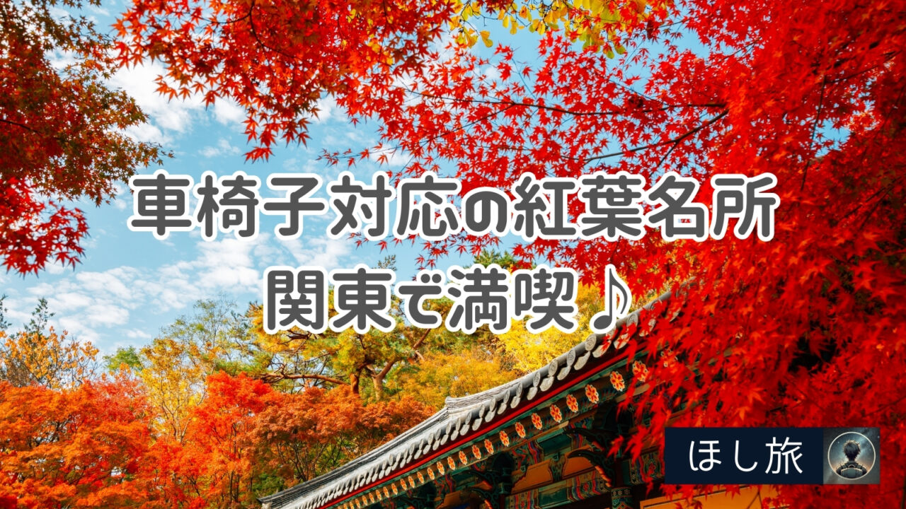 車椅子対応の紅葉名所は関東で満喫♪施設内もフラットで負担減!