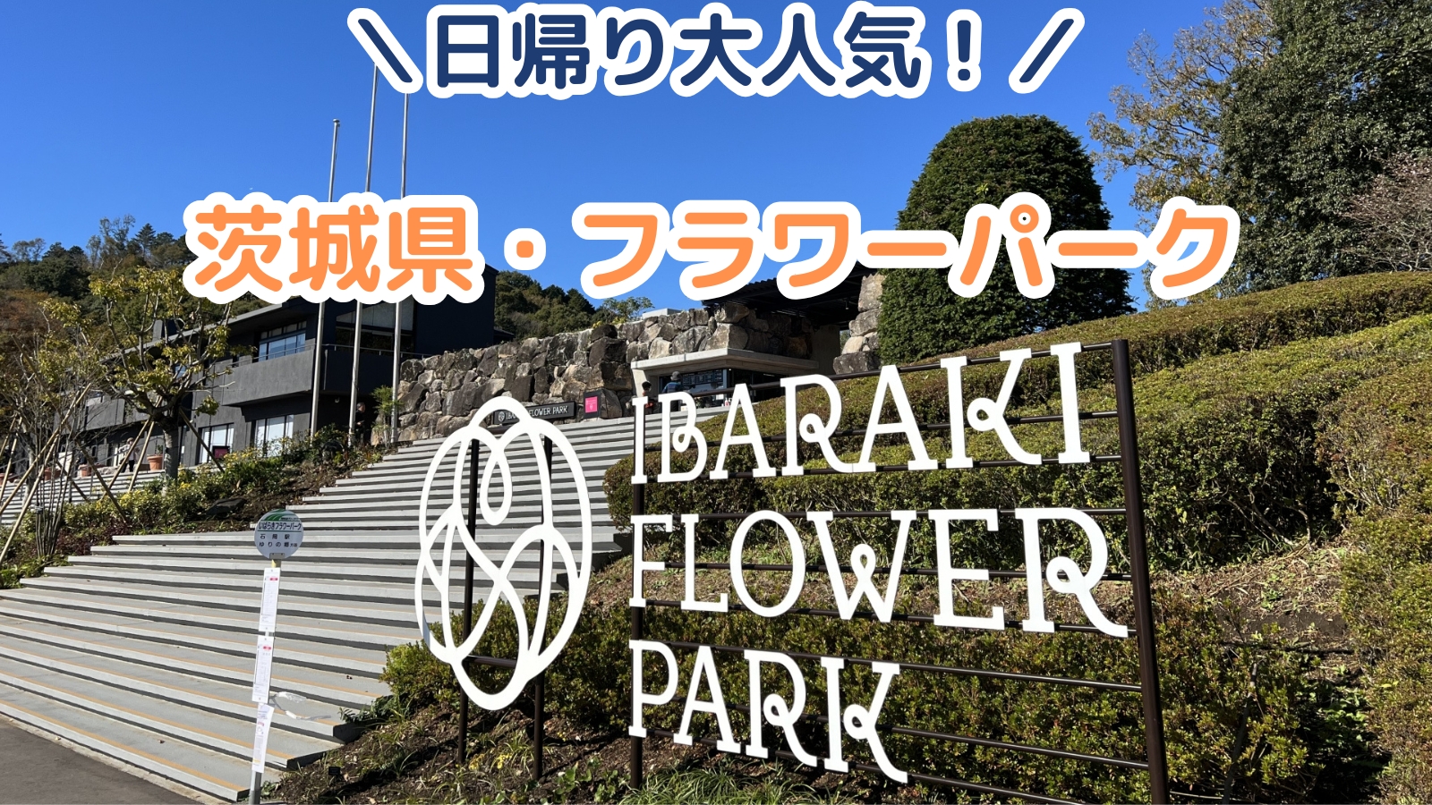 電車で行ける旅行!関東のおすすめ観光スポット7選|日帰り大人気!茨城フラワーパーク