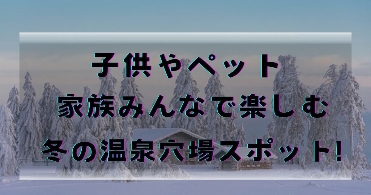 fuyuryokou-anabasupotuto-yukigesiki-petuto