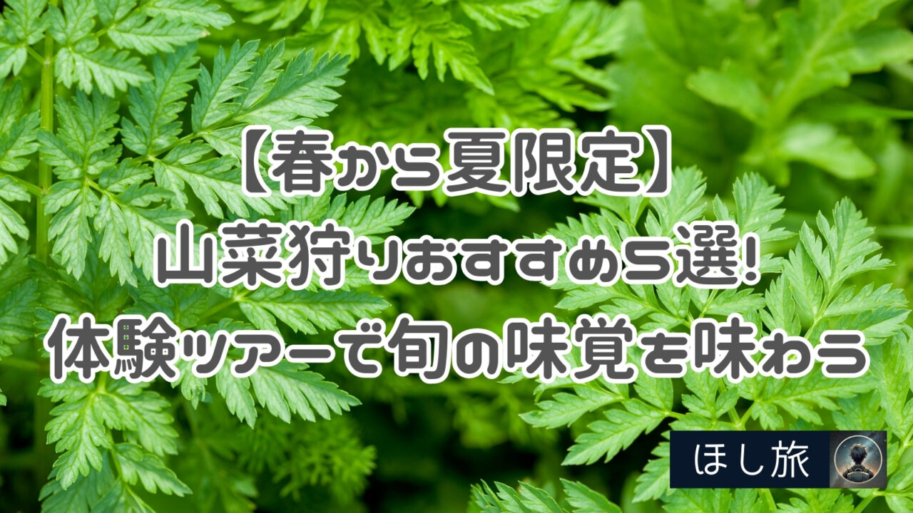 【春から夏限定】山菜狩りおすすめ５選!体験ツアーで旬の味覚を味わう