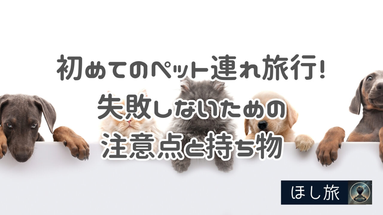 初めてのペット連れ旅行！失敗しないための注意点と持ち物リスト