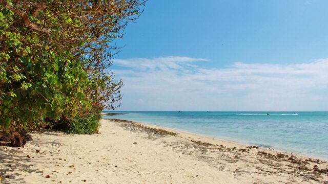 春休み　穴場旅行　星の砂ビーチ