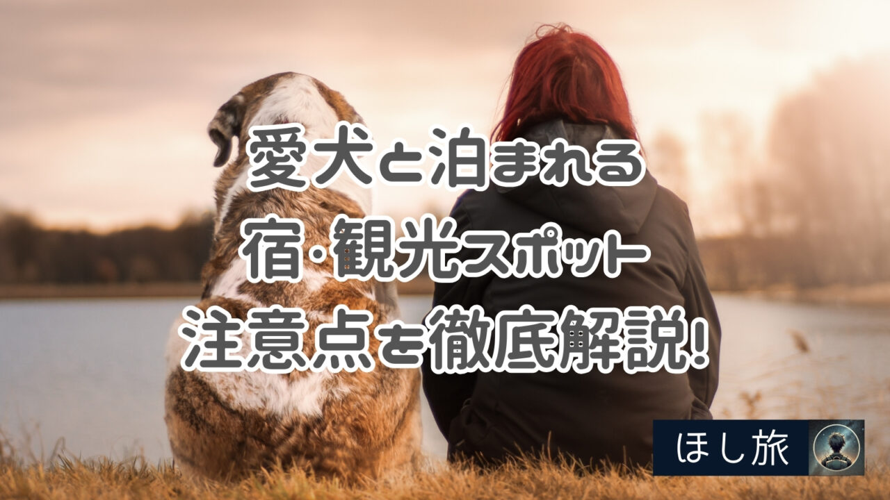 【伊豆高原 ペット旅行】完全ガイド｜愛犬と泊まれる宿・観光スポット・注意点を徹底解説！