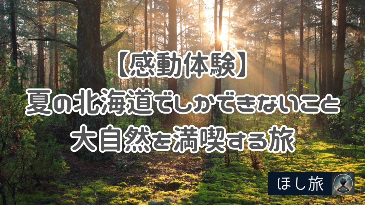 【感動体験】夏の北海道でしかできないこと10選！大自然を満喫する旅