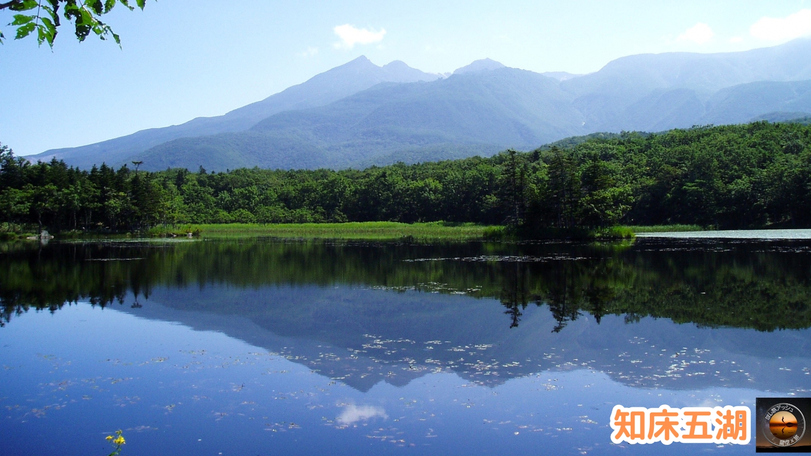 夏の北海道でしかできないこと10選!大自然を満喫する旅|知床五湖