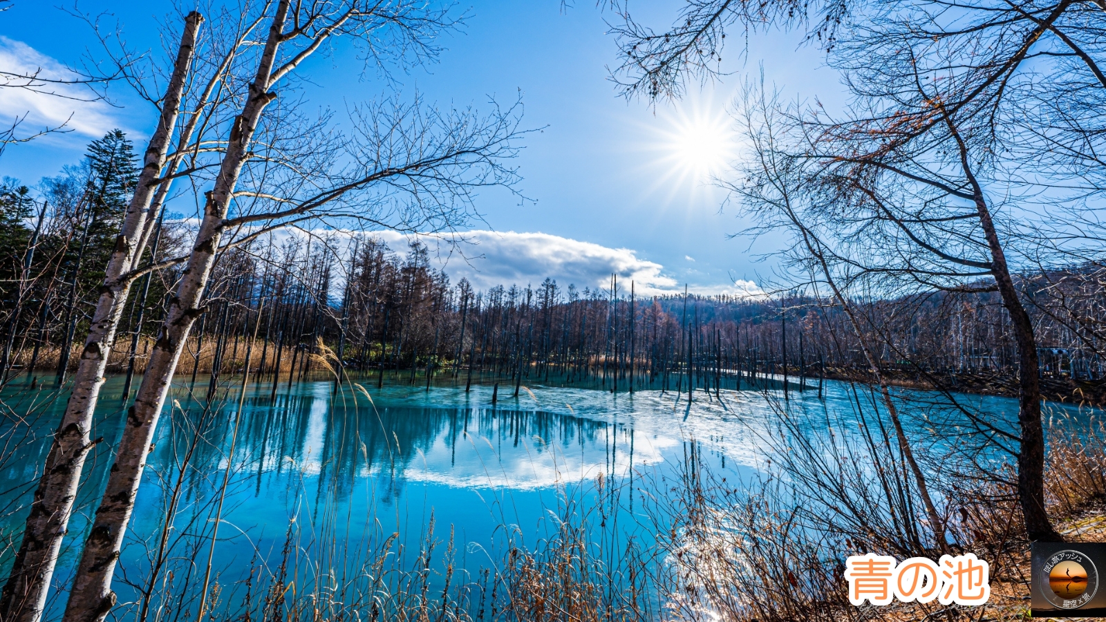 夏の北海道でしかできないこと10選!大自然を満喫する旅|青の池