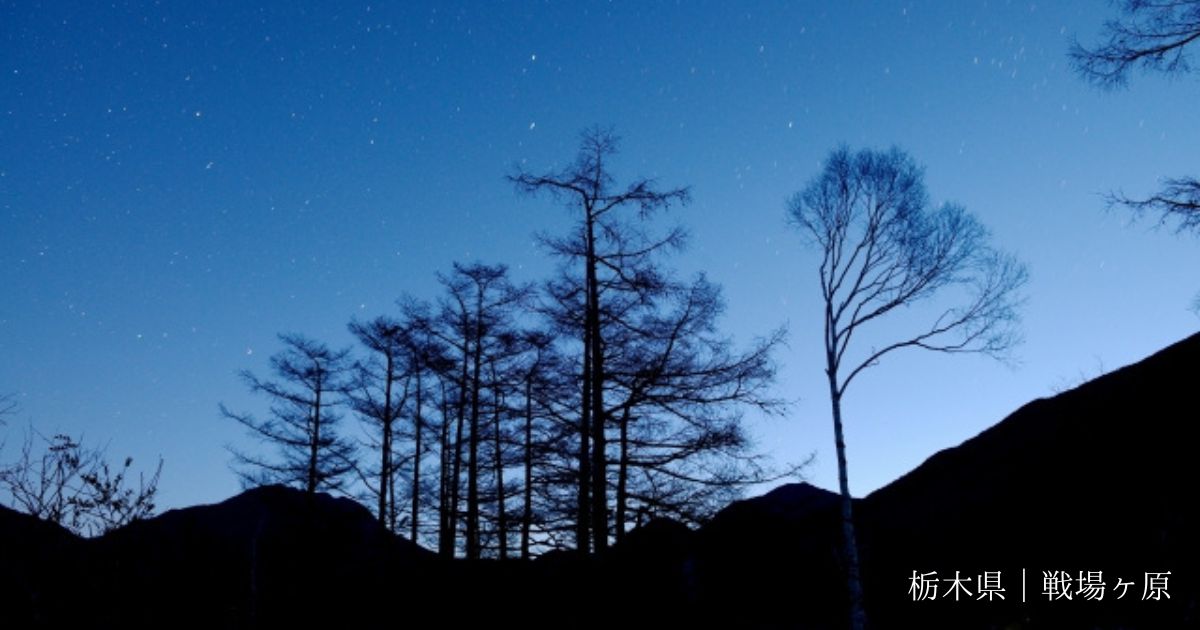 関東 星空 ドライブ 戦場ヶ原
