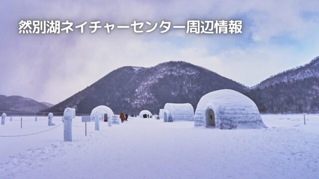 雪と氷のイグルー集落