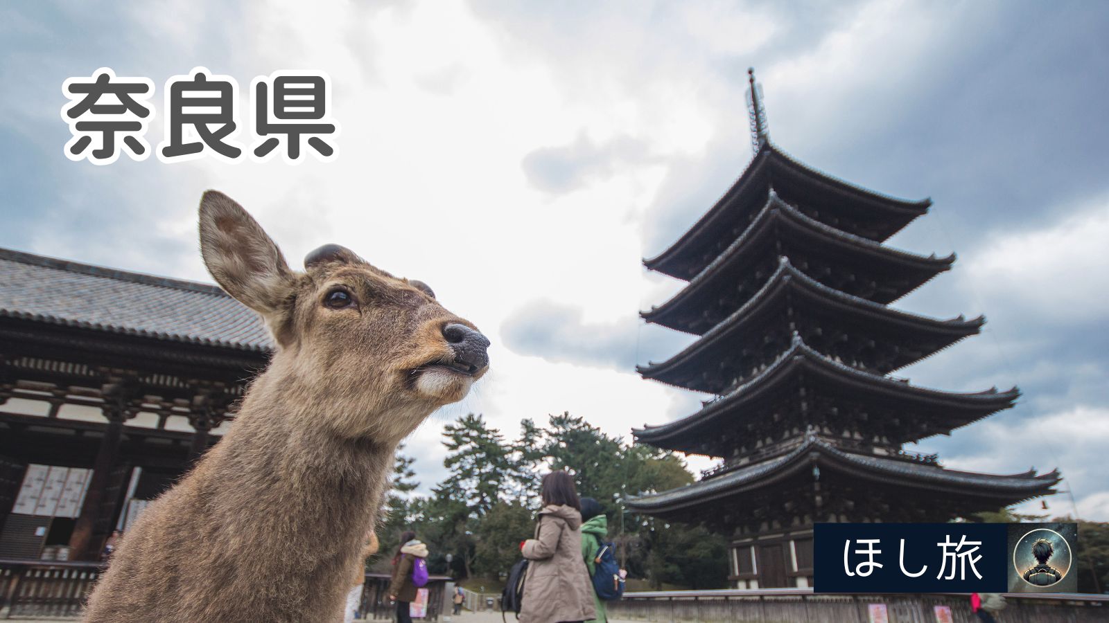 奈良県しか