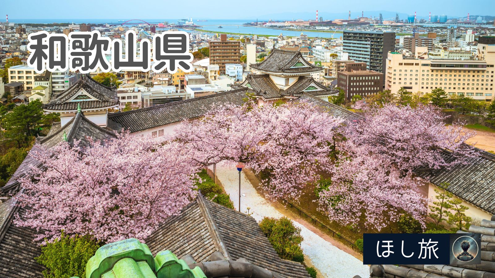 和歌山桜