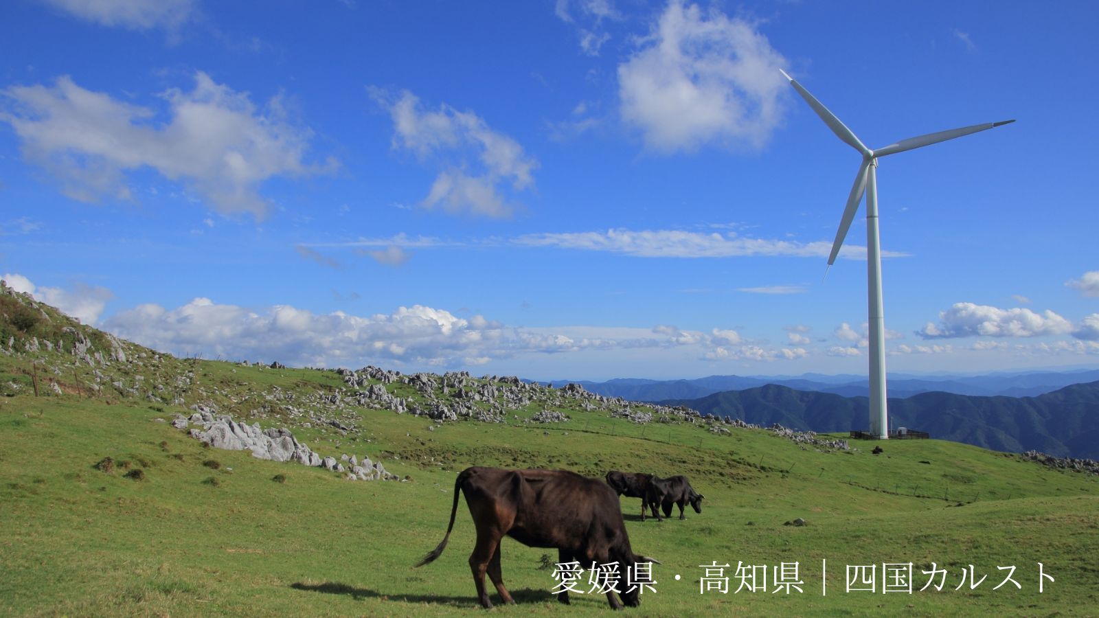 満天の星に包まれる!四国カルストキャンプ場(愛媛県・高知県)