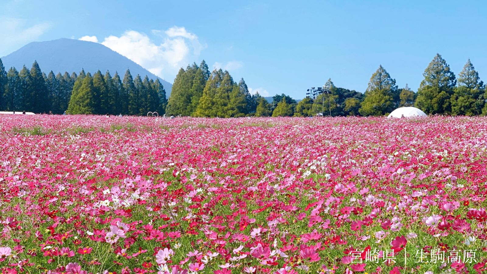 九州の星空スポットドライブで気軽に立ち寄れる絶景スポット宮崎県生駒高原