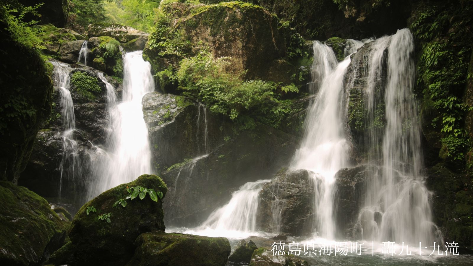 自然と星空を満喫!まぜのおかオートキャンプ場(徳島県)