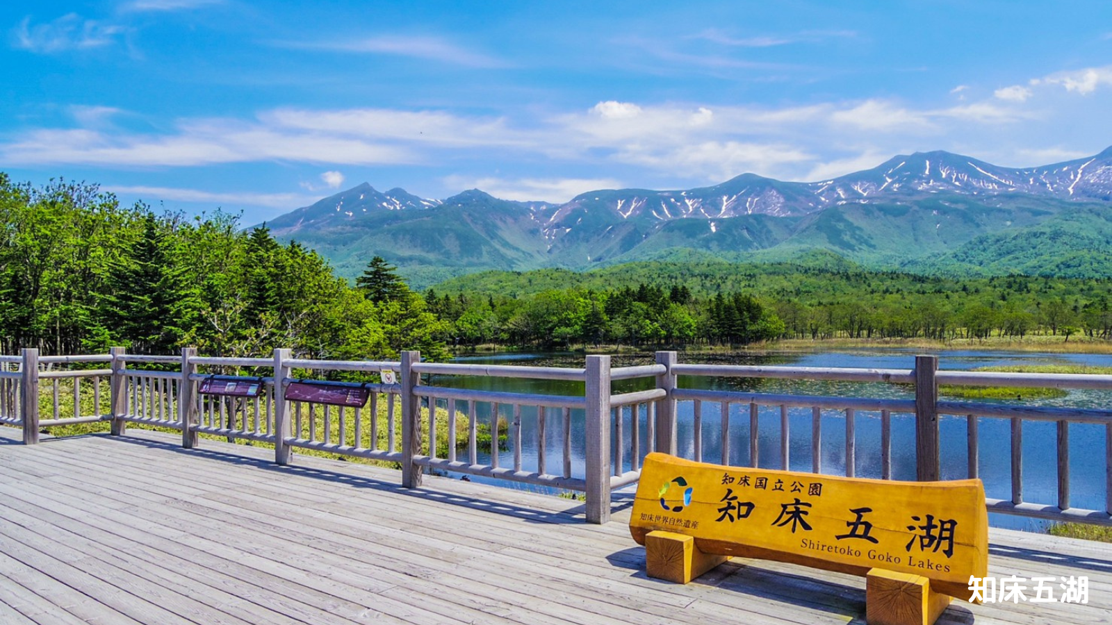 北海道の星空スポット16選|ドライブやキャンプで楽しめる穴場観察地まとめ|知床五湖×星空|原始の森に包まれる“静寂の星見スポット