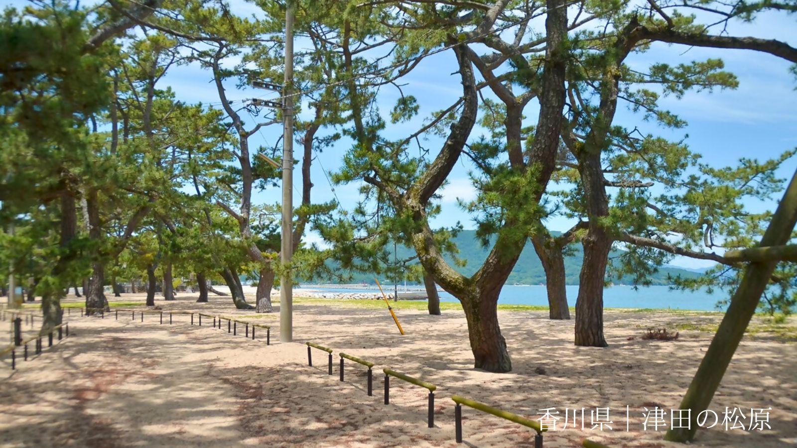海辺のロマンチックな星空!津田の松原キャンプ場(香川県)
