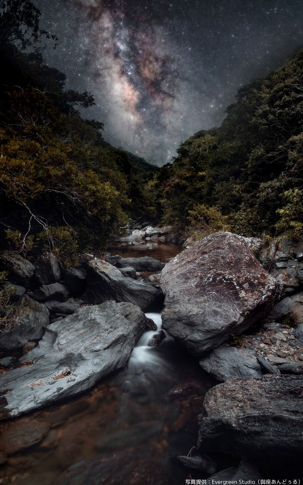 沖縄星空フォトツアー沖縄絶景風景写真:森と川