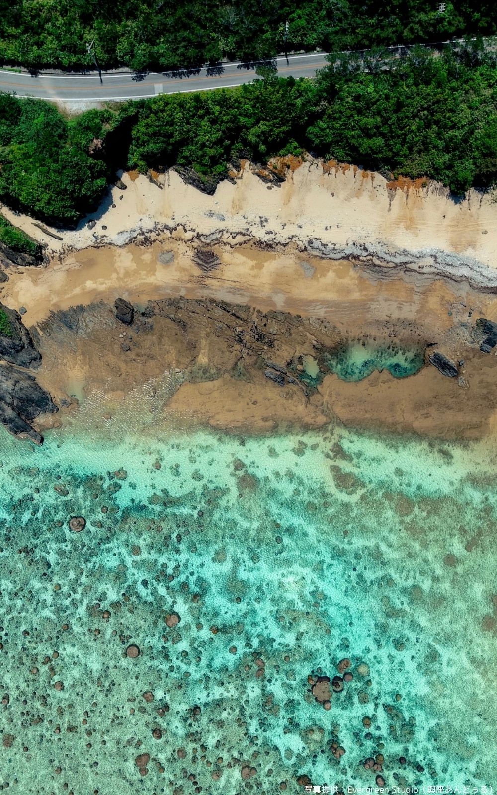 沖縄星空フォトツアー沖縄の青い海:やんばるの絶景