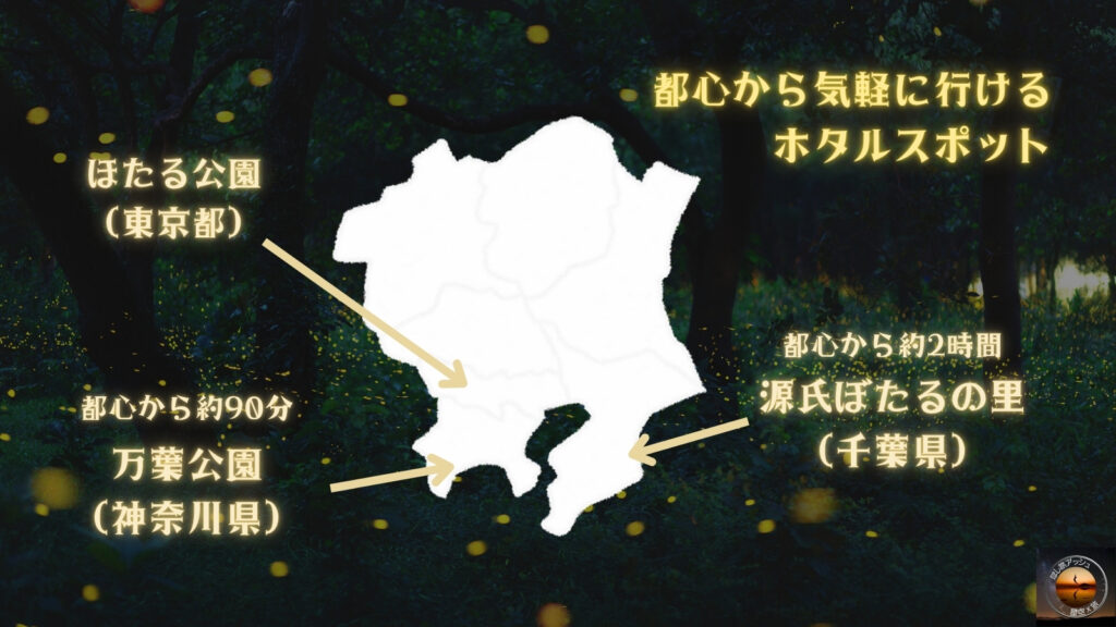 都心から気軽に行ける蛍の名所
