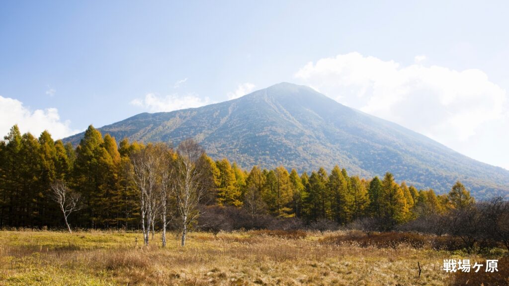 栃木県戦場ヶ原