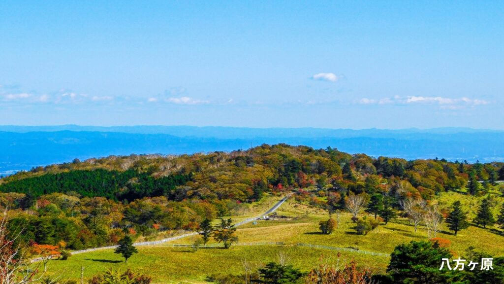 栃木県八方ヶ原